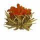 Fiori da tè