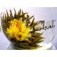 Fiori da tè